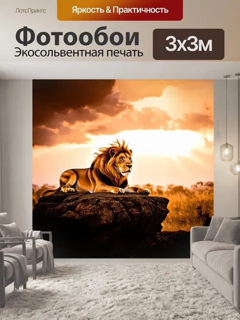 Фотообои лев, величественный и опасный хищник, располагается на высоком каменистом утесе
