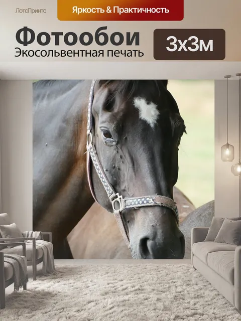 Фотообои Лошадиная голова