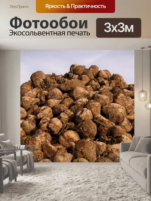 Фотообои Максимальная