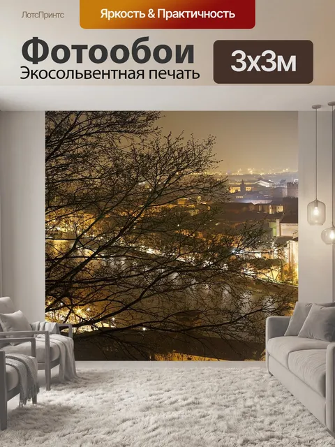 Фотообои Ночная точка зрения