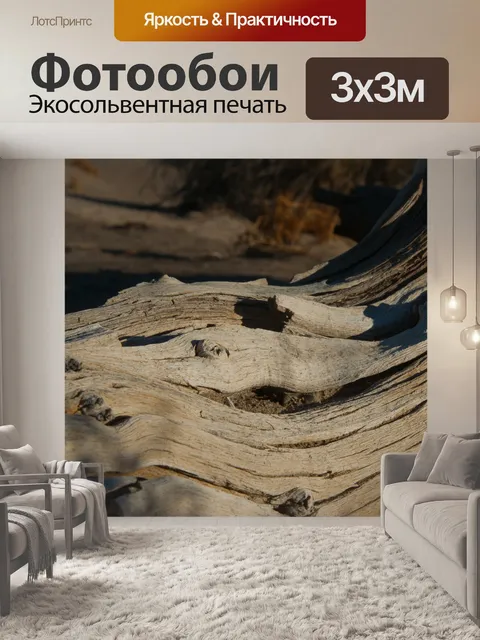 Фотообои Dead Tree Trunk