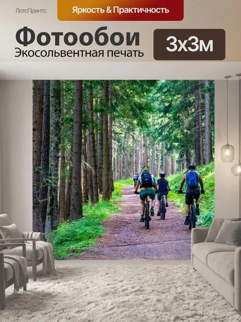 Фотообои Лес