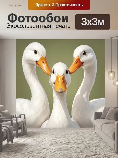 Фотообои Три белых утки крупным планом