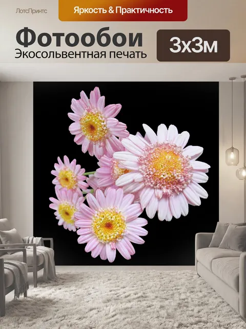 Фотообои Ромашки