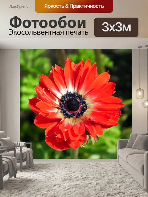 Фотообои Сад