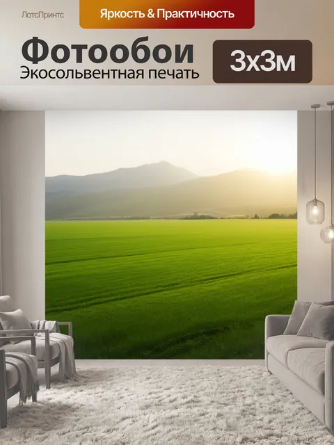 Фотообои поле с бархатным зеленым покровом, где утреннее солнце вызывает блики на роса