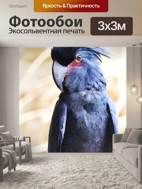 Фотообои Пальмовый какаду