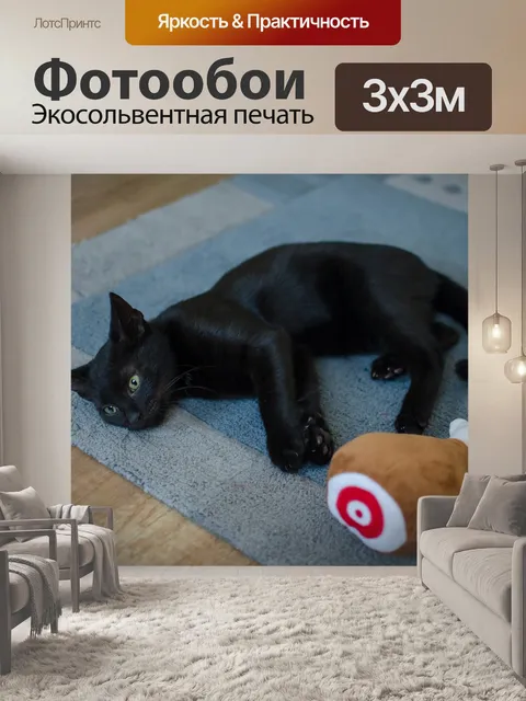 Фотообои Черный кот