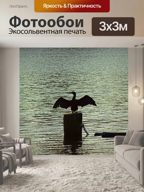 Фотообои Баклан