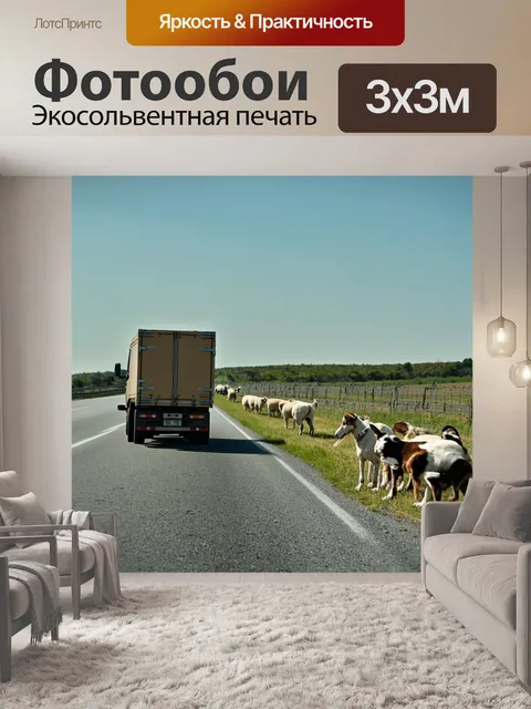 Фотообои грузовик на шоссе, проезжающий мимо козьей фермы с пастушьими собаками