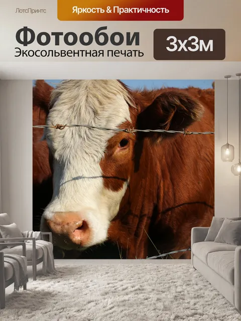 Фотообои Стадо коров выгона