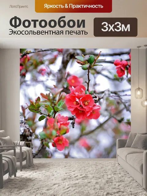 Фотообои Яблоневый цвет