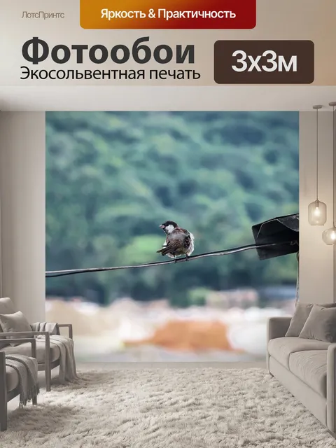 Фотообои Птицы