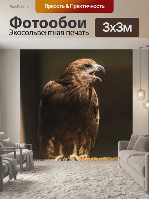Фотообои Хищник
