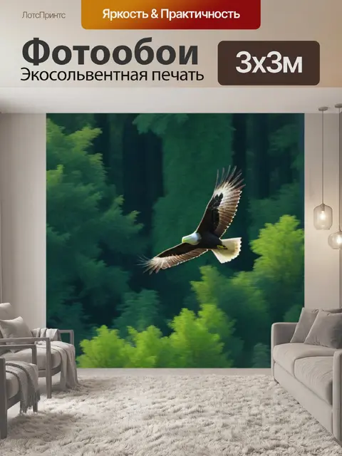 Фотообои летящий в небе орел над тенистым лесом