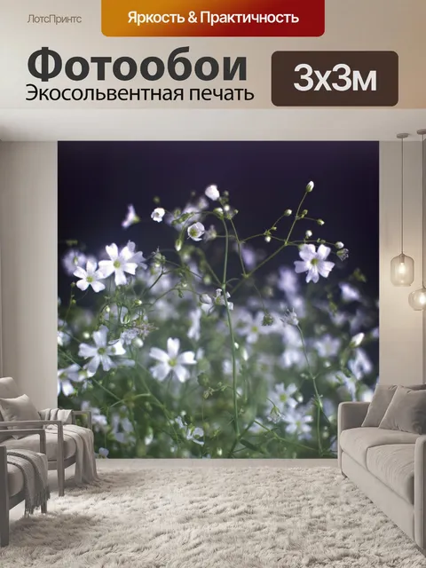 Фотообои Маленькие белые цветы 8