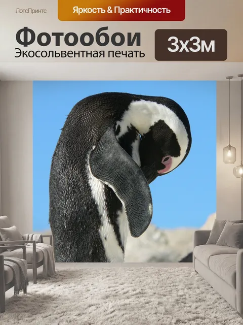 Фотообои Пингвин
