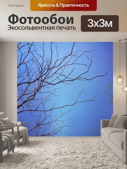 Фотообои Голубое небо