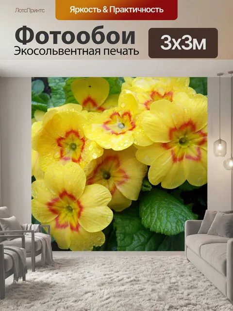 Фотообои Примула
