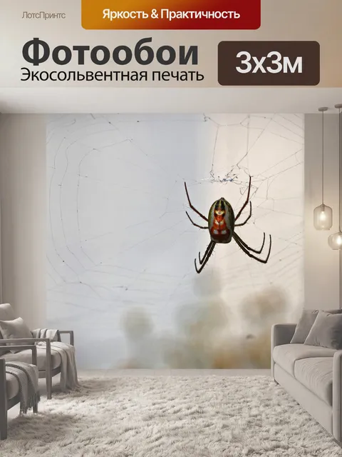 Фотообои спинная сторона серебряного болотного па