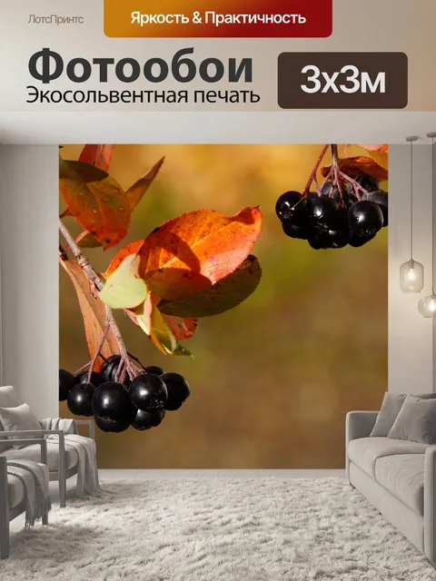 Фотообои Черноплодная рябина
