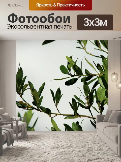Фотообои лавровый лист на белом облаке