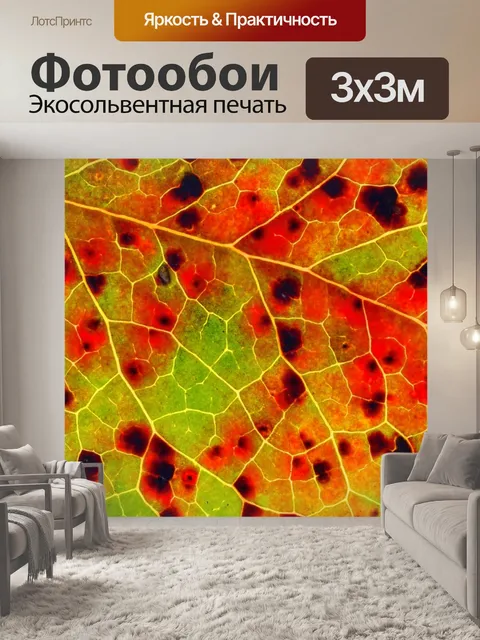 Фотообои Осенняя листва лист макросъемка