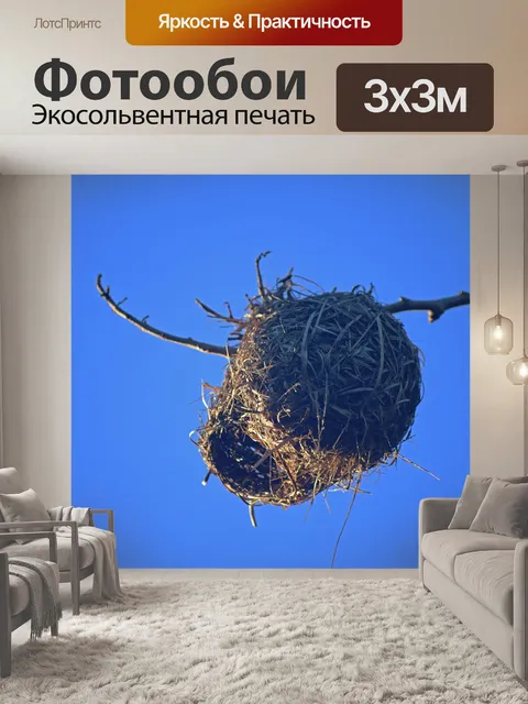 Фотообои гнездо ткача с проемом видно