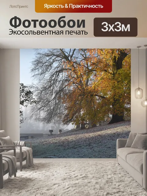 Фотообои Деревья