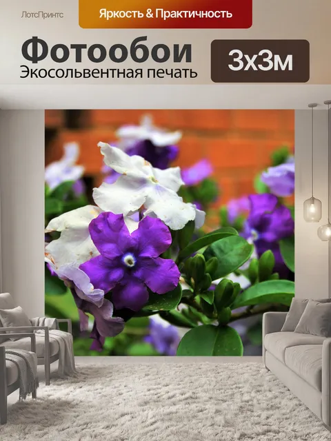 Фотообои Brunfelsia кустарник