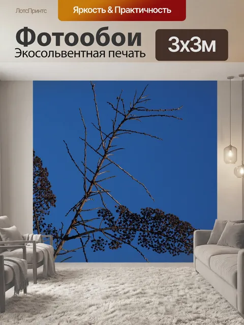 Фотообои Невеста spiere