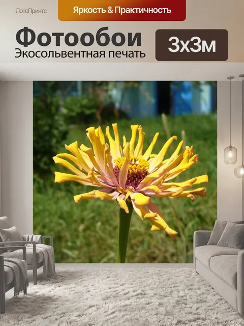 Фотообои Цветок