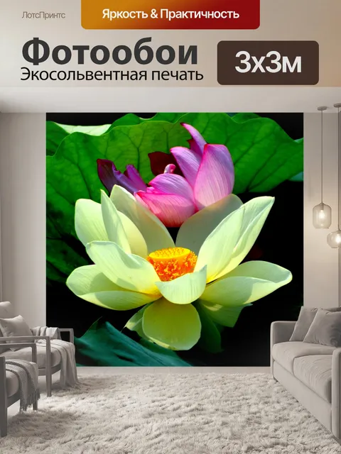 Фотообои Цветок лотоса