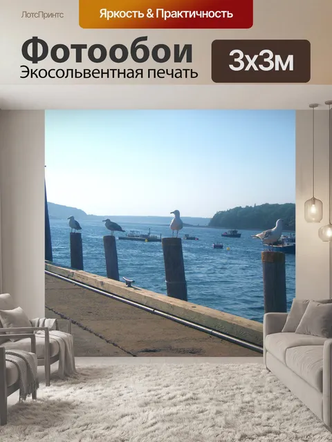 Фотообои Чайки