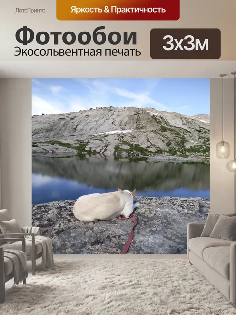 Фотообои Собака