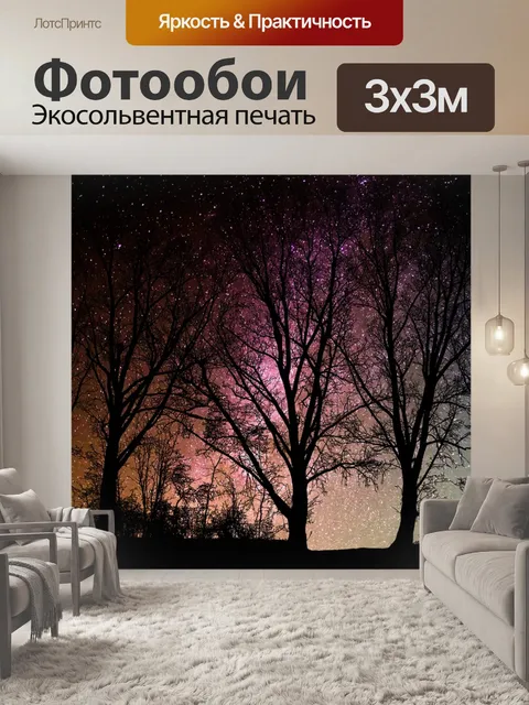 Фотообои Лес