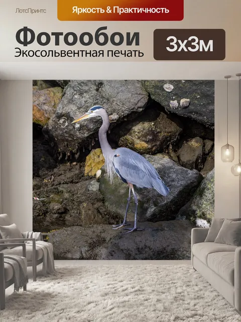 Фотообои Голубая цапля