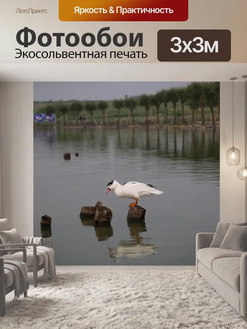 Фотообои Утка