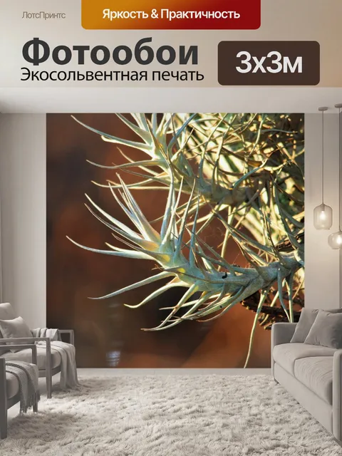 Фотообои свет на светло-зеленый эпифит