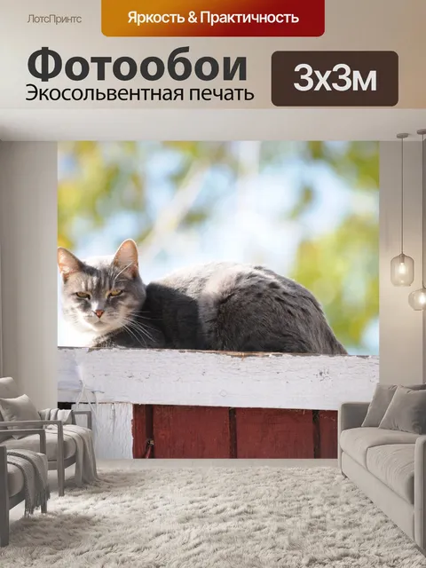Фотообои Кошка на заборе 2