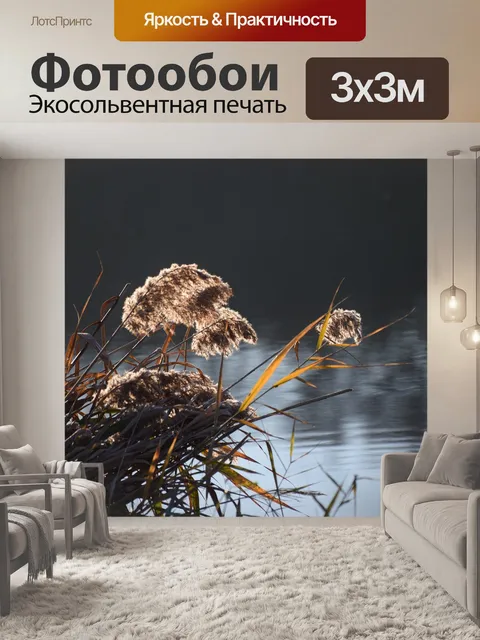 Фотообои Тростник