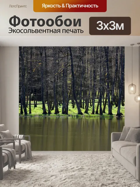 Фотообои Лесные деревья