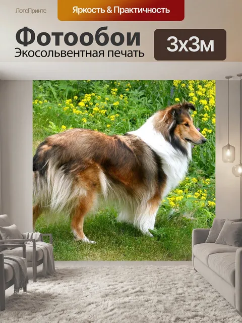 Фотообои Шелти