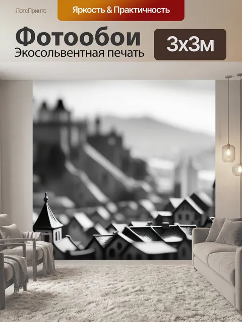 Фотообои красивый пейзаж с городом чернобелый