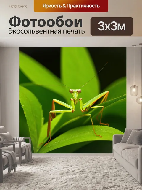 Фотообои яркий момент в жизни богомола, сидящего на зелёной листве, аккуратно выискивающего насекомых