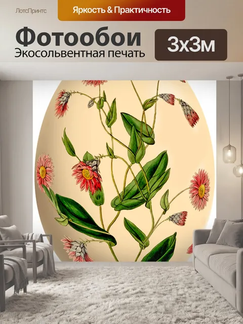 Фотообои Яйцо