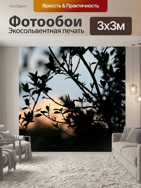 Фотообои кустарник в силуэт на закате