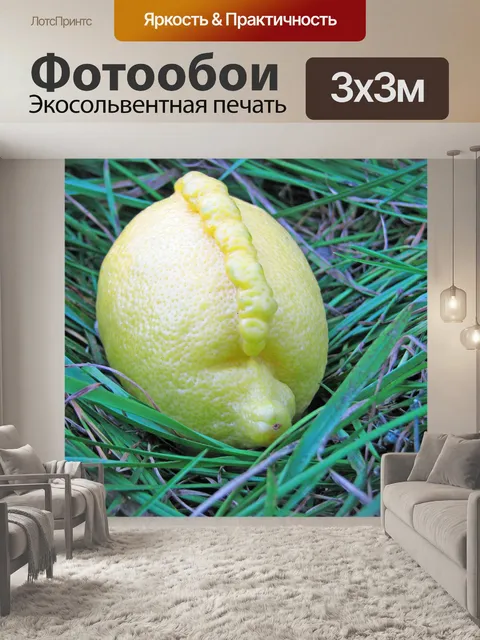 Фотообои Mohawk лимоном
