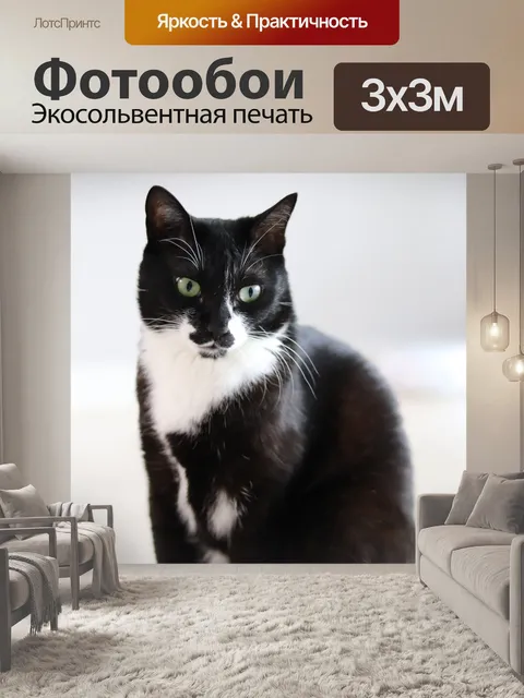 Фотообои Кошачьи глаза