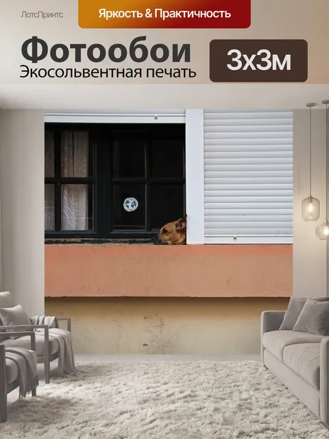 Фотообои Собака